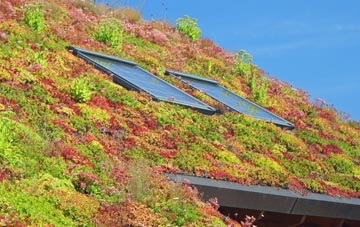 Yarhampton Cross living roof systems